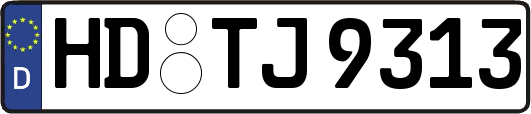 HD-TJ9313