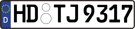 HD-TJ9317