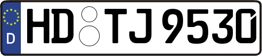 HD-TJ9530