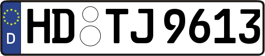 HD-TJ9613