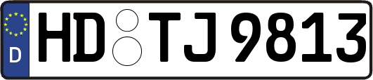 HD-TJ9813