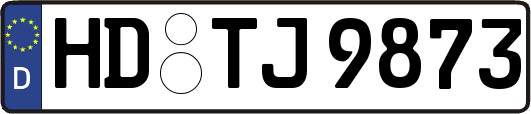 HD-TJ9873