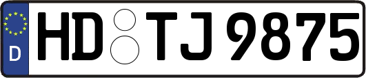 HD-TJ9875