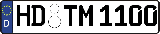 HD-TM1100