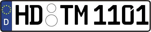 HD-TM1101