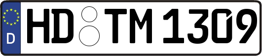 HD-TM1309