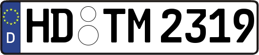 HD-TM2319