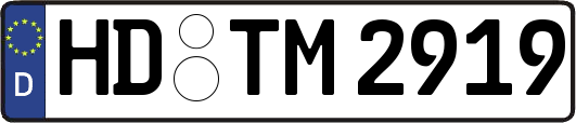 HD-TM2919