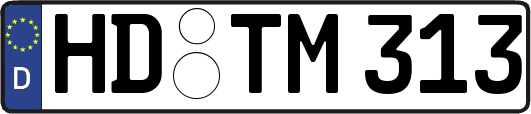 HD-TM313