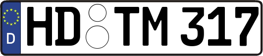 HD-TM317