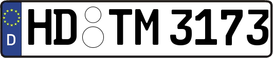 HD-TM3173