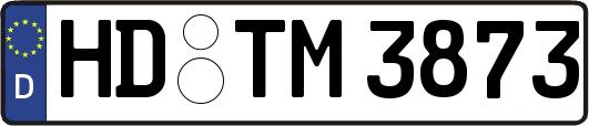 HD-TM3873