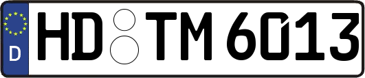HD-TM6013