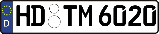 HD-TM6020