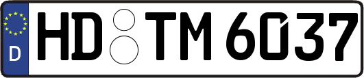 HD-TM6037