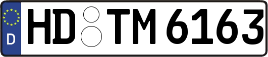HD-TM6163