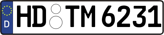 HD-TM6231
