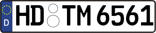 HD-TM6561