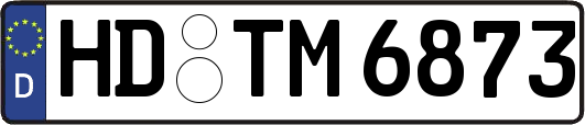 HD-TM6873
