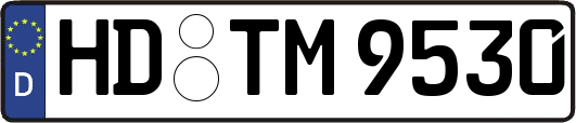HD-TM9530