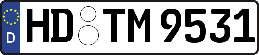 HD-TM9531
