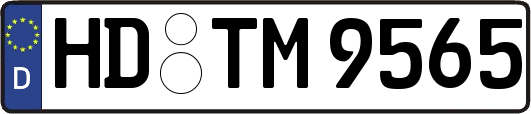 HD-TM9565