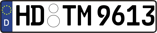 HD-TM9613