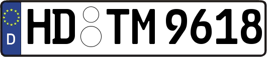 HD-TM9618