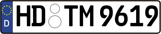 HD-TM9619