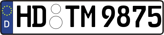 HD-TM9875