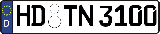 HD-TN3100