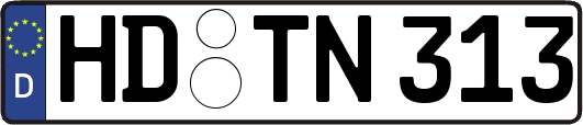 HD-TN313