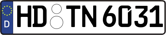 HD-TN6031