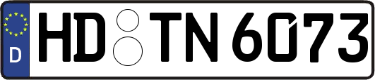 HD-TN6073