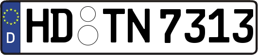 HD-TN7313