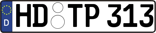 HD-TP313