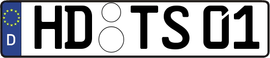 HD-TS01