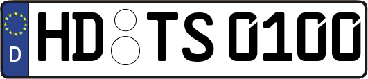 HD-TS0100