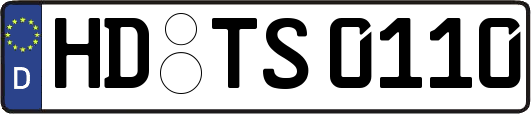 HD-TS0110