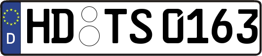 HD-TS0163