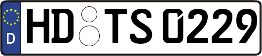 HD-TS0229