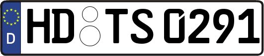 HD-TS0291