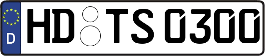 HD-TS0300