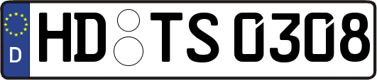 HD-TS0308