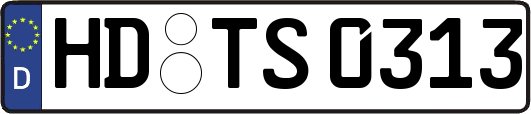 HD-TS0313