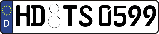 HD-TS0599