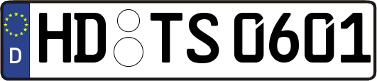 HD-TS0601