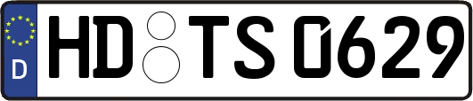HD-TS0629