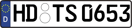HD-TS0653