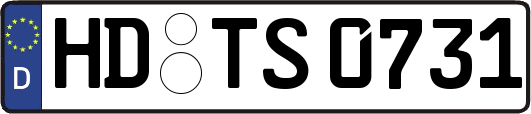 HD-TS0731